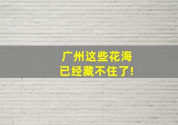 广州这些花海已经藏不住了!