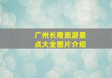 广州长隆旅游景点大全图片介绍