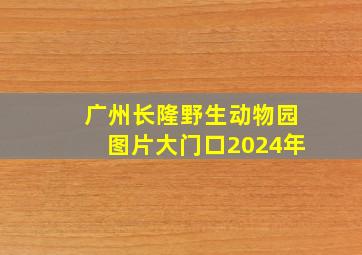 广州长隆野生动物园图片大门口2024年