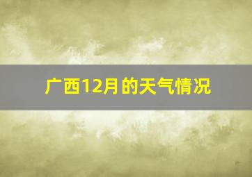 广西12月的天气情况