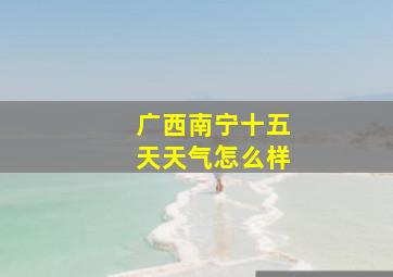 广西南宁十五天天气怎么样