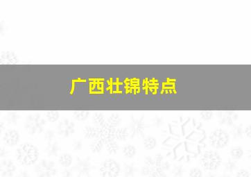 广西壮锦特点