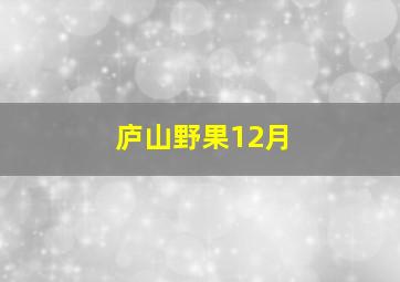 庐山野果12月