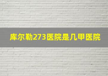 库尔勒273医院是几甲医院