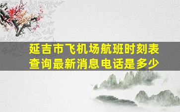 延吉市飞机场航班时刻表查询最新消息电话是多少