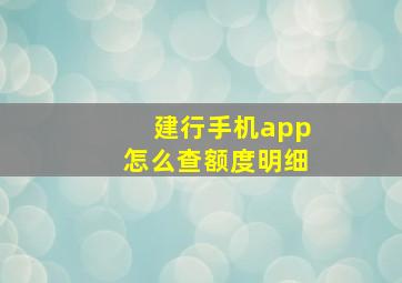 建行手机app怎么查额度明细