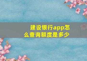 建设银行app怎么查询额度是多少