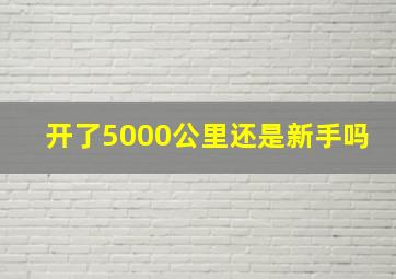 开了5000公里还是新手吗