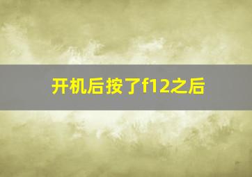 开机后按了f12之后