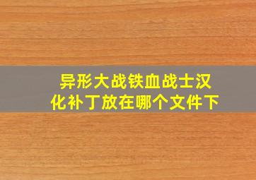 异形大战铁血战士汉化补丁放在哪个文件下