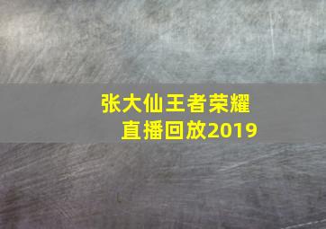 张大仙王者荣耀直播回放2019