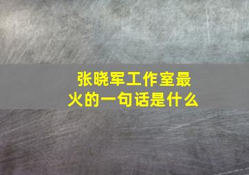 张晓军工作室最火的一句话是什么