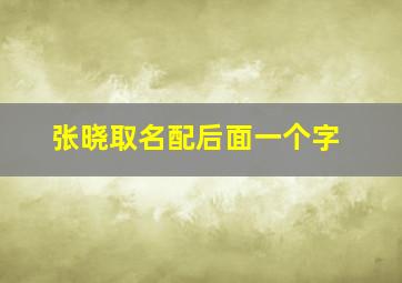 张晓取名配后面一个字