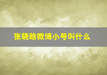 张晓晗微博小号叫什么