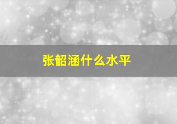 张韶涵什么水平