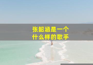 张韶涵是一个什么样的歌手