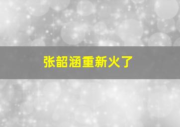 张韶涵重新火了