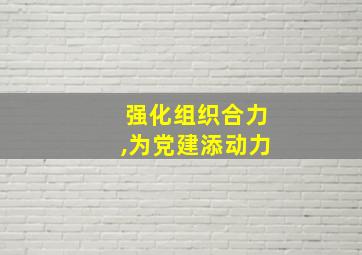 强化组织合力,为党建添动力