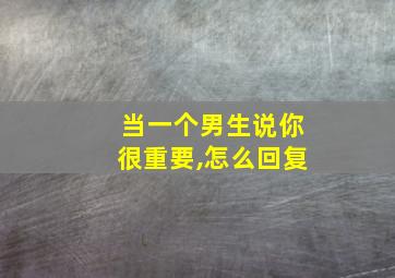 当一个男生说你很重要,怎么回复