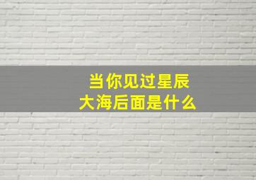 当你见过星辰大海后面是什么