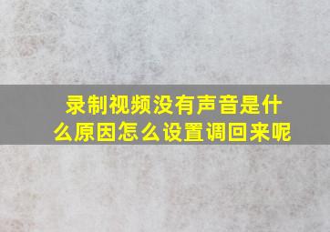 录制视频没有声音是什么原因怎么设置调回来呢