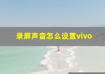 录屏声音怎么设置vivo