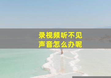 录视频听不见声音怎么办呢