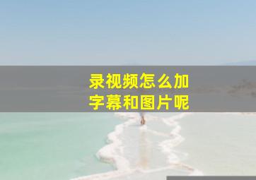 录视频怎么加字幕和图片呢