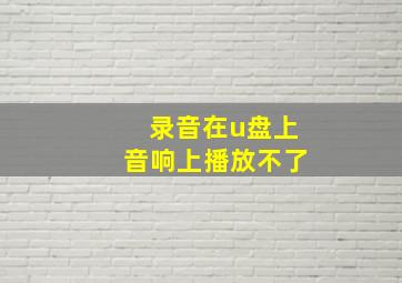 录音在u盘上音响上播放不了