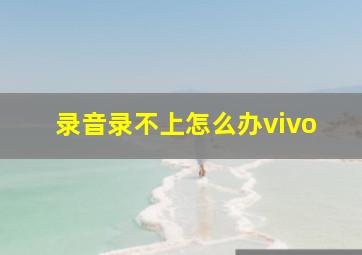 录音录不上怎么办vivo