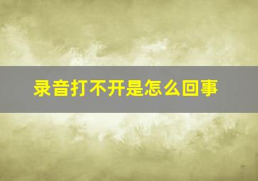 录音打不开是怎么回事