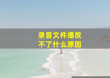 录音文件播放不了什么原因