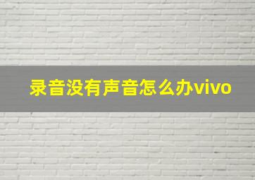 录音没有声音怎么办vivo