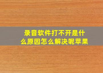 录音软件打不开是什么原因怎么解决呢苹果