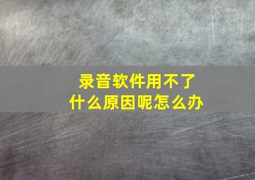 录音软件用不了什么原因呢怎么办