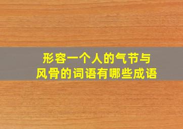 形容一个人的气节与风骨的词语有哪些成语