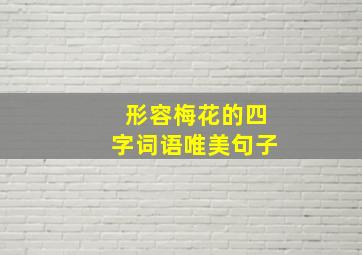 形容梅花的四字词语唯美句子