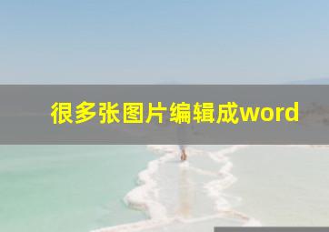 很多张图片编辑成word