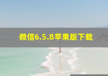 微信6.5.8苹果版下载