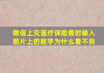 微信上交医疗保险费时输入图片上的数字为什么看不到