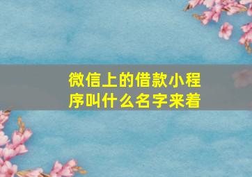 微信上的借款小程序叫什么名字来着