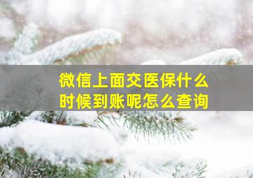 微信上面交医保什么时候到账呢怎么查询