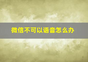 微信不可以语音怎么办