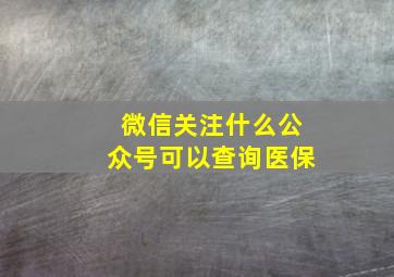 微信关注什么公众号可以查询医保