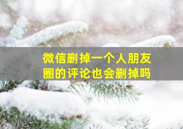 微信删掉一个人朋友圈的评论也会删掉吗