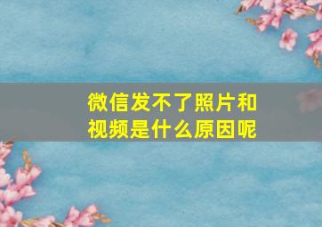 微信发不了照片和视频是什么原因呢