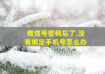 微信号密码忘了,没有绑定手机号怎么办