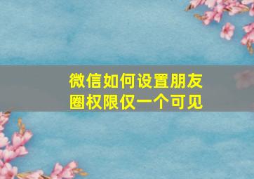 微信如何设置朋友圈权限仅一个可见