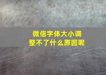 微信字体大小调整不了什么原因呢