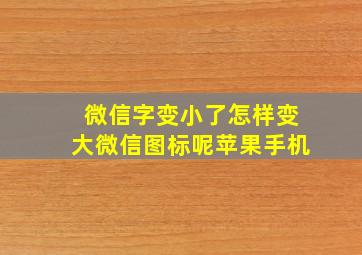 微信字变小了怎样变大微信图标呢苹果手机